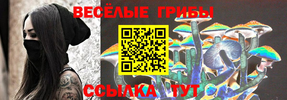 Дубна  Псилоцибиновые грибы Cubensis  Галлюциногенные грибы мицелий  Вход с VPN 